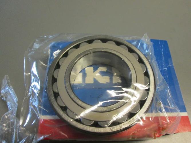 bicacg221334