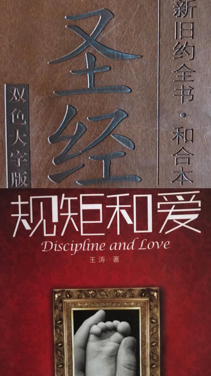 圣经旧约新约全书修改版无限体力