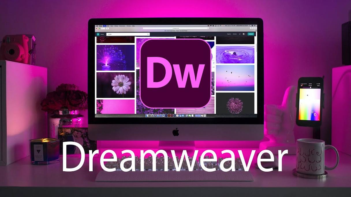 dw下载链接