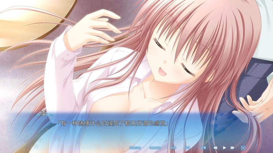galgame清爽版