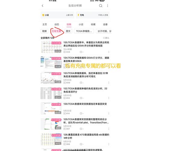 bilibili充电视频破解