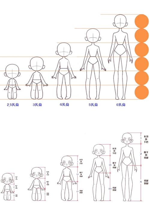 比例比例动画