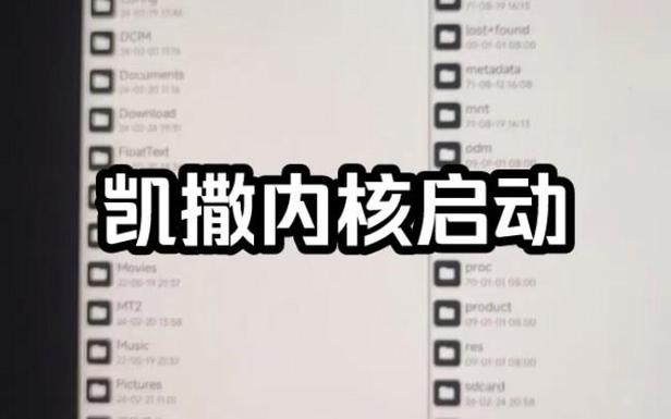 凯撒内核31