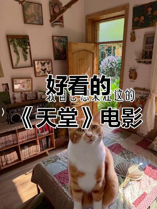 电影天堂手机在线观看中文字幕