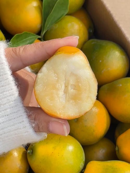 橘子30蓝心小