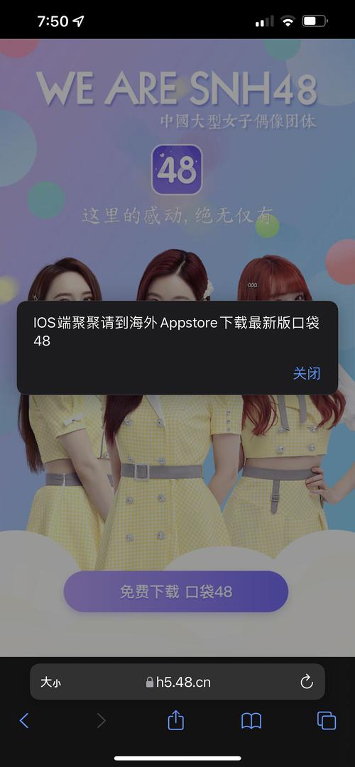 48口袋换源版