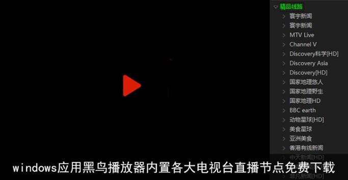 黑鸟播放器官网提速版