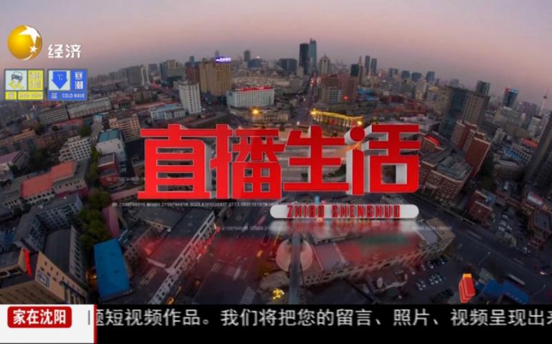 辽宁经济频道在线直播