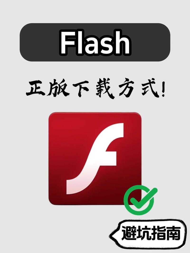 player软件怎么下载永不升级版
