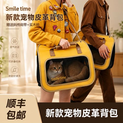 小狗宝盒56版