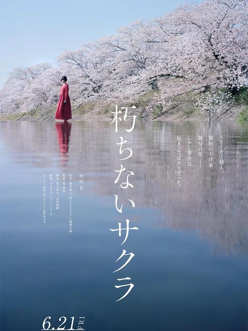 樱花电影大全免费素材
