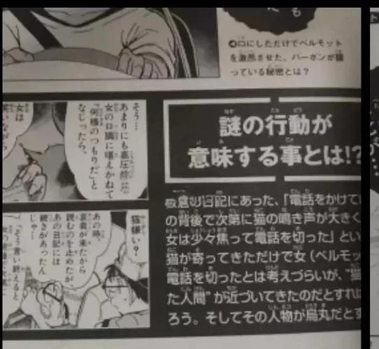 CollegeBrawl 汉化版无删减福