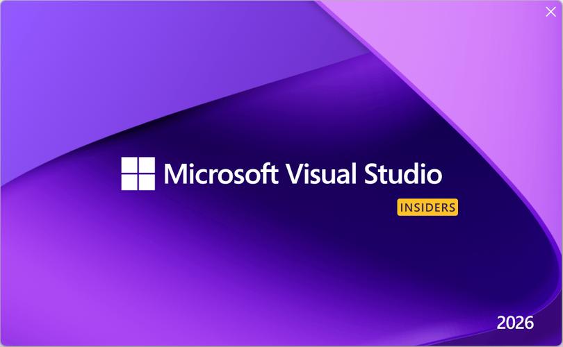 MicrosoftVisualVisua