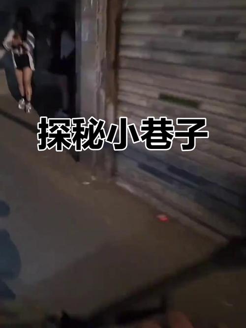 小巷子里的秘密114安卓攻略