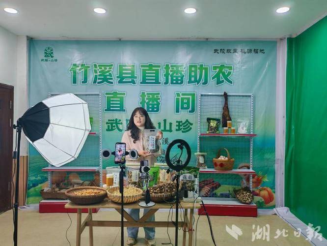 桃源直播
