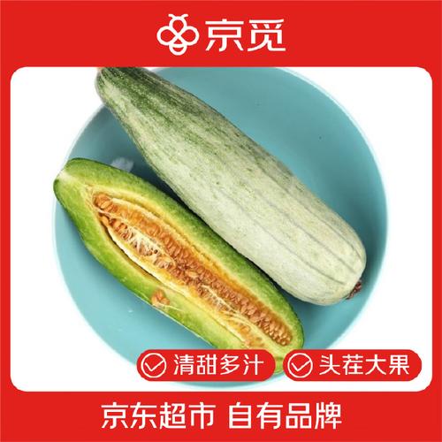 甜瓜290内置抢先版