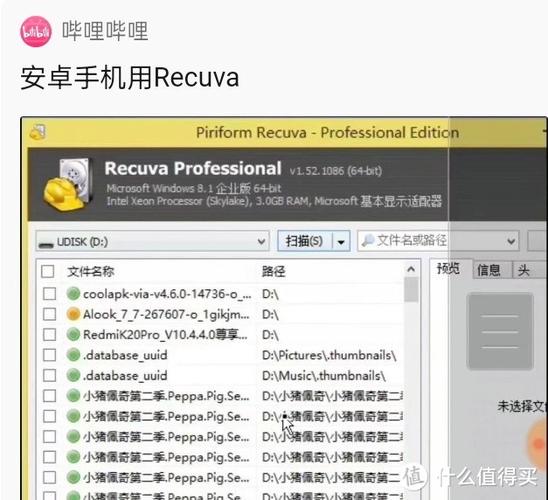 recuva安卓版英文