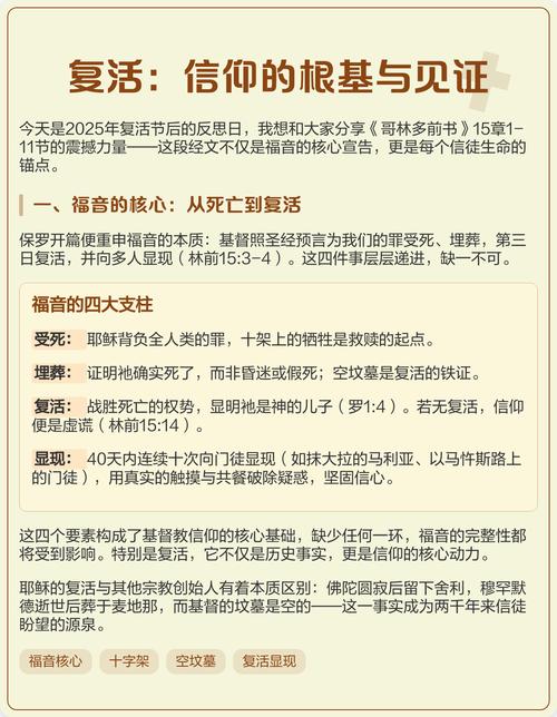 今日圣经网免费下载