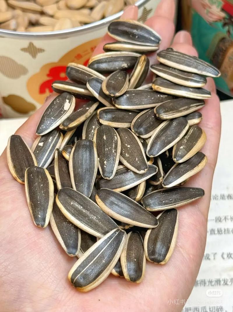 瓜子视频