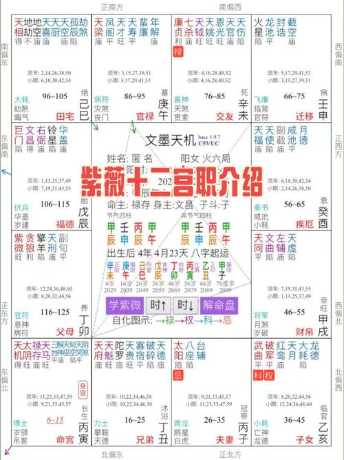 紫微命盘免费版解读app