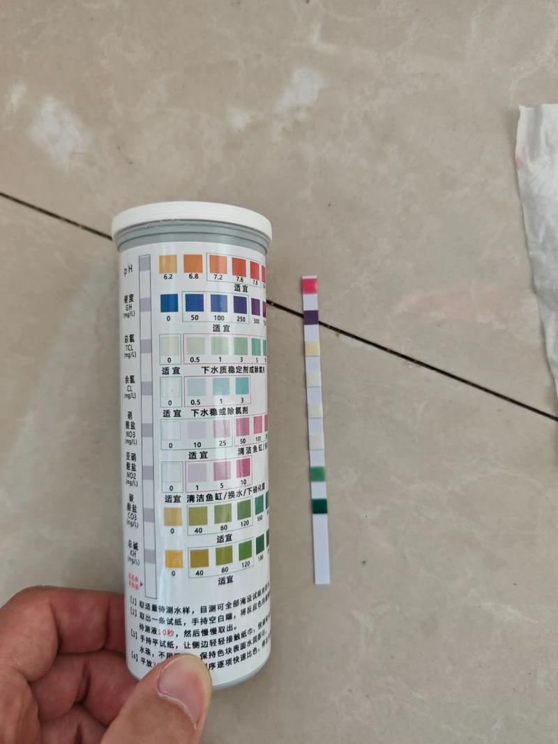 ph版春节版