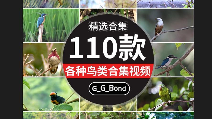 布谷剪辑