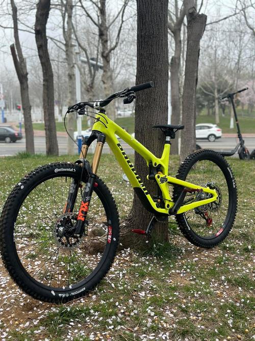 txpro