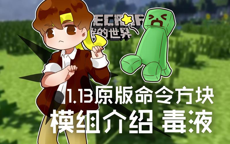 minecraft113