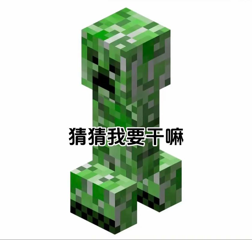 我的世界苦力怕盒子包