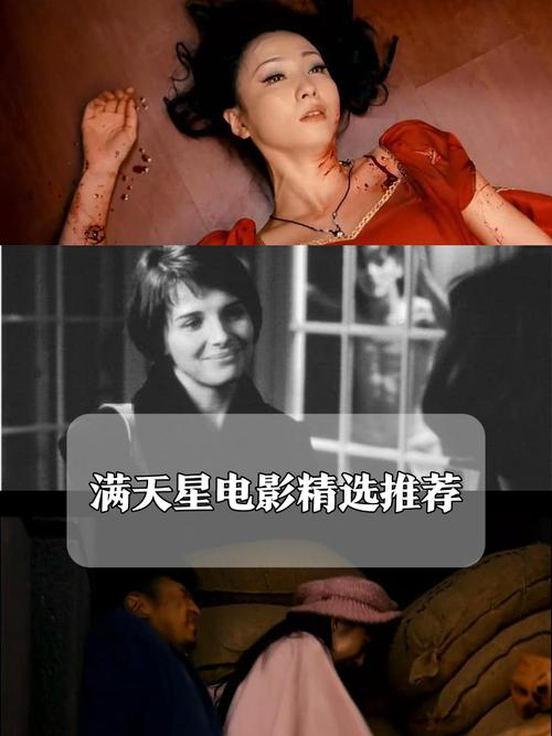 漫天星本无广告免费高清影视