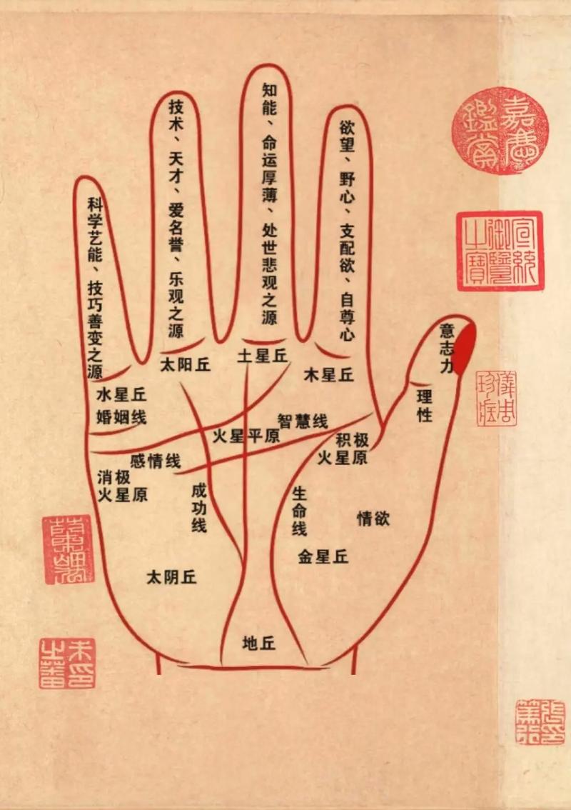 生命线黑色免费最新版