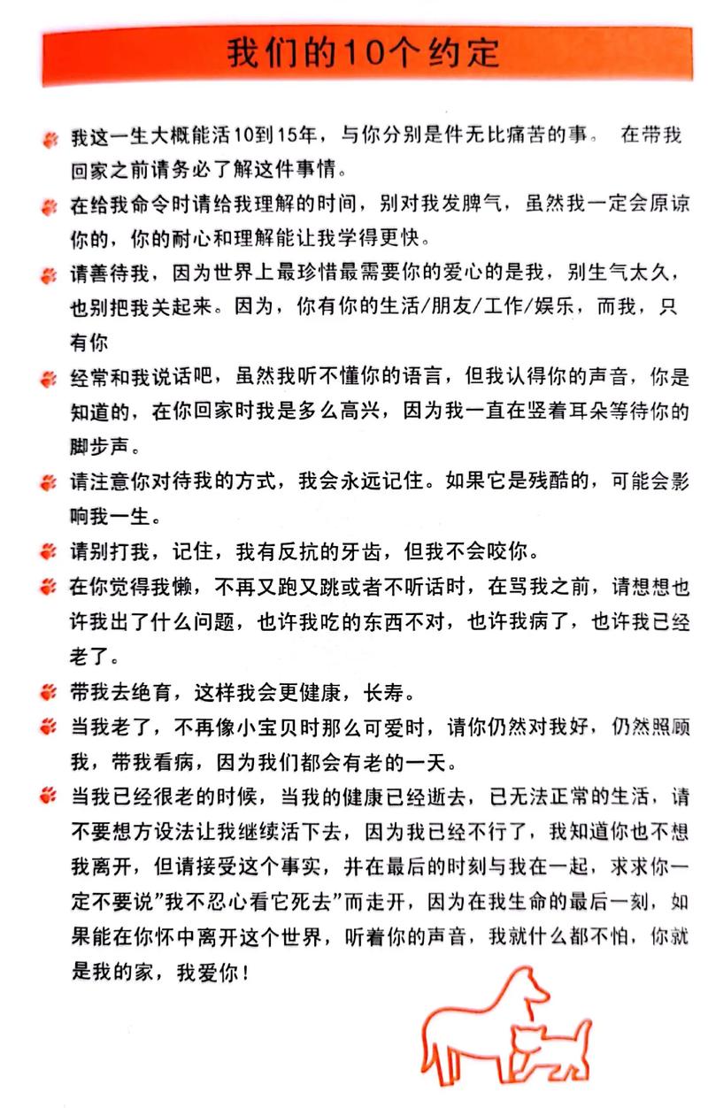 十个约定