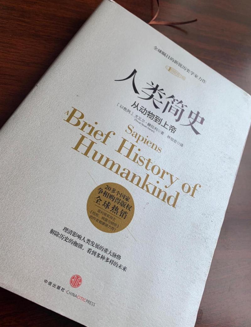 人类简史微盘