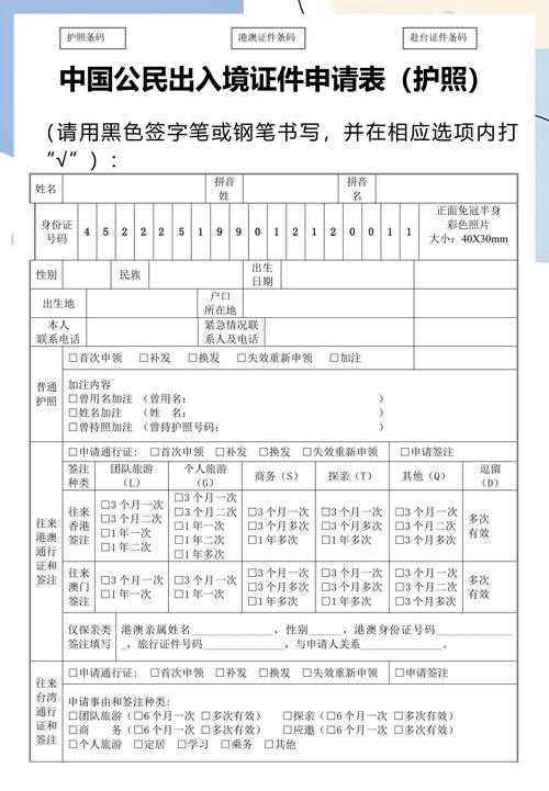 出入境申请表