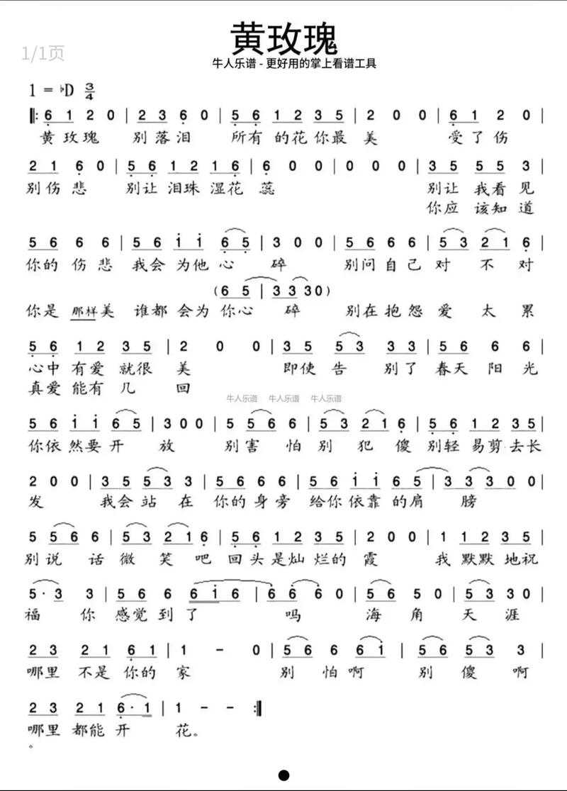 黄玫瑰mp3