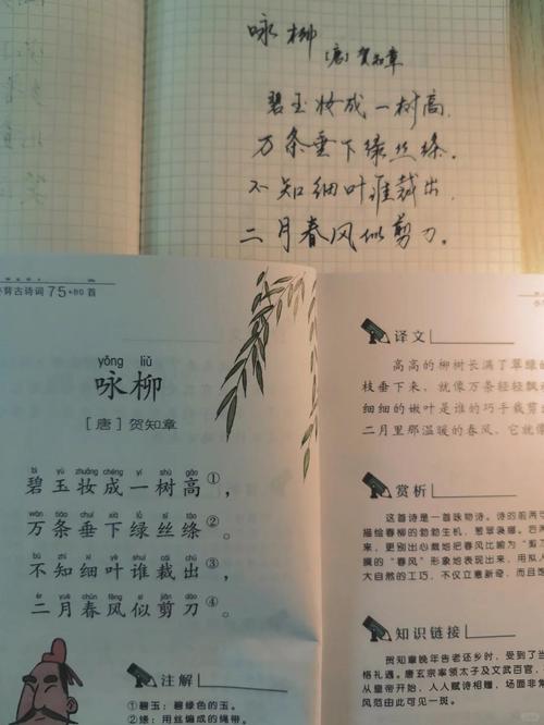 掌中韵母柳如玉张惟风防走失