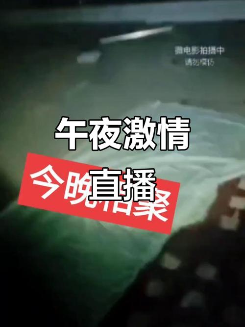 午夜情缘APP视频彩色版