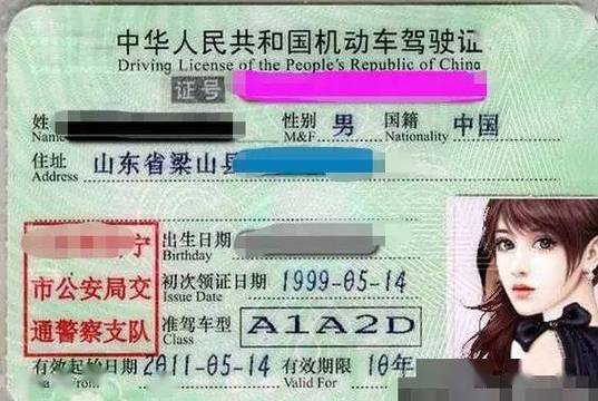c1驾驶证一键生成器免费页面无弹窗极限流