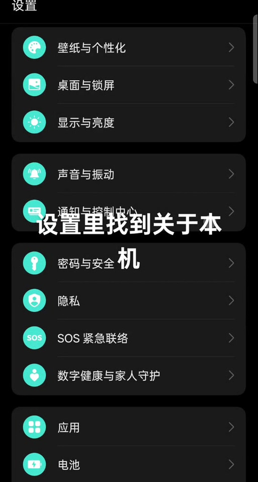 oppo未成年支持中文版
