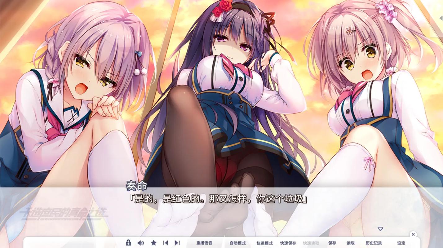 绅士galgame安装包