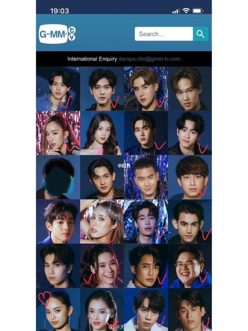 泰圈1550