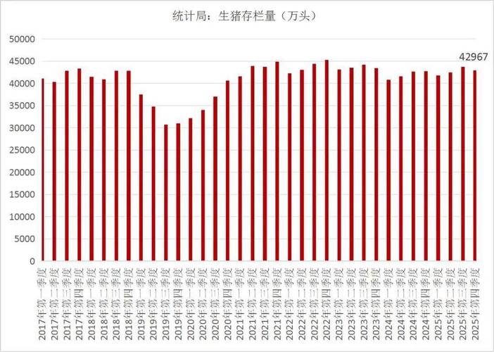 猪猪库存最新消