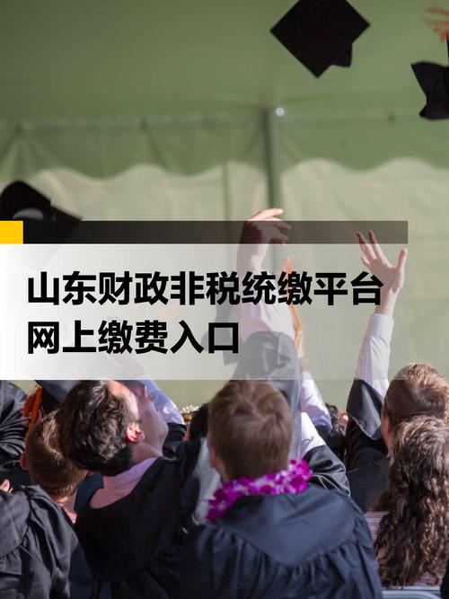 山东非税统缴平