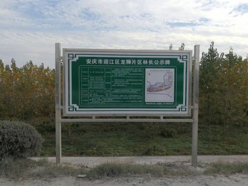 云南省林长制A