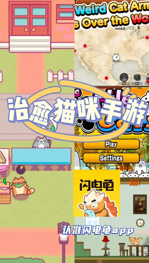 熟睡中的猫咪游