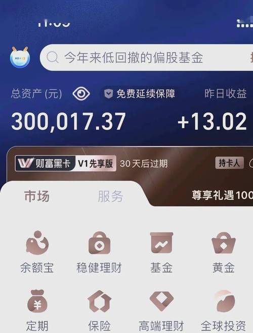 支付宝余额仿真去广告版