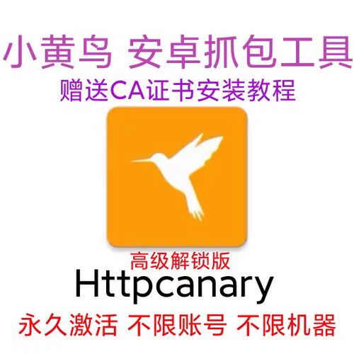 抓包小黄鸟无弹窗版
