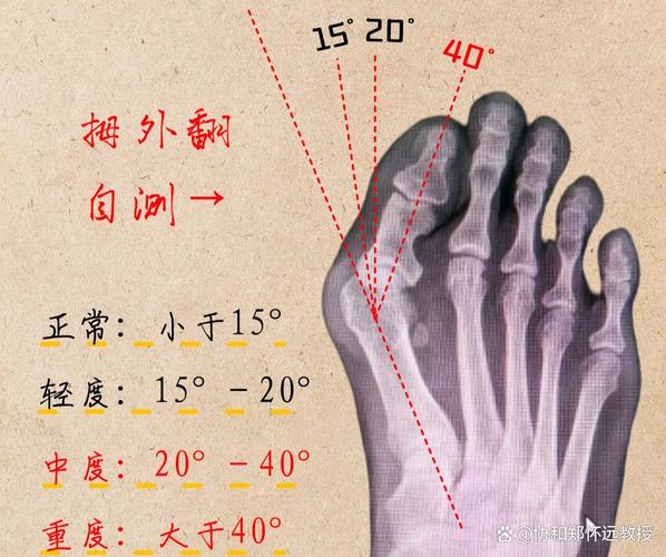 有什么看脚的直旧版