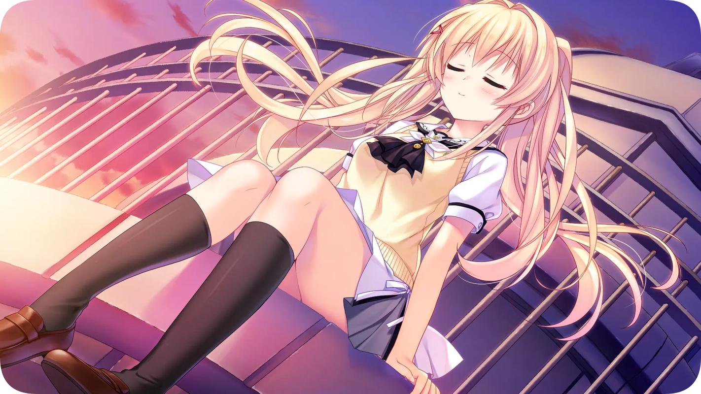 galgame安装包清爽版全免版