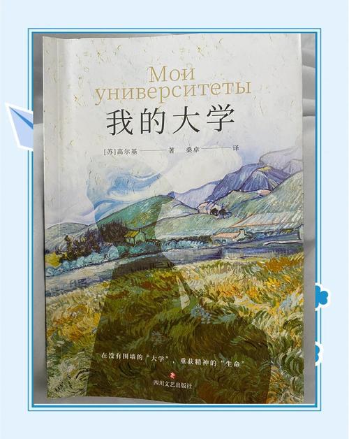 我的大学无限金